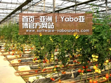 种植基地二(图1)