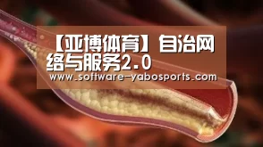 【亚博体育】自治网络与服务2.0(图1) 亚博体育