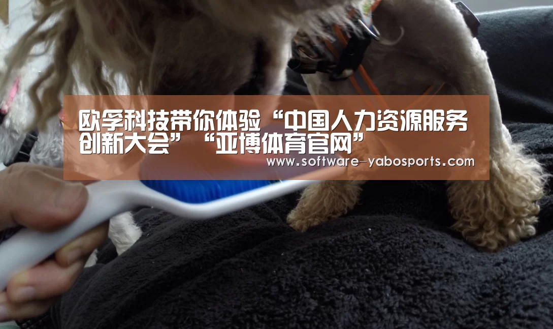 欧孚科技带你体验“中国人力资源服务创新大会”“亚博体育官网”(图2)